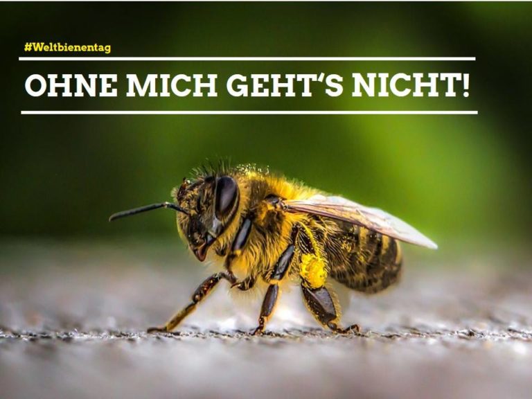 WELTBIENENTAG