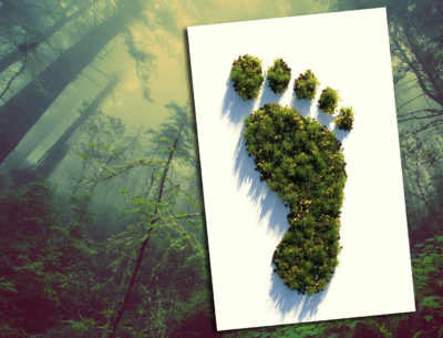 Klimawandel