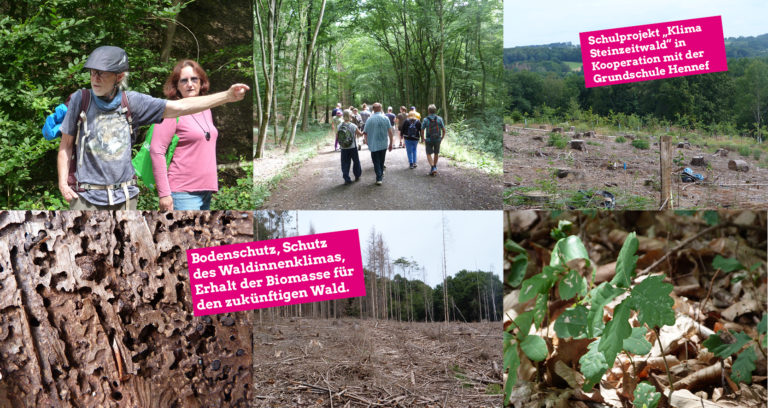 Erster Waldspaziergang  „Wald in Not“